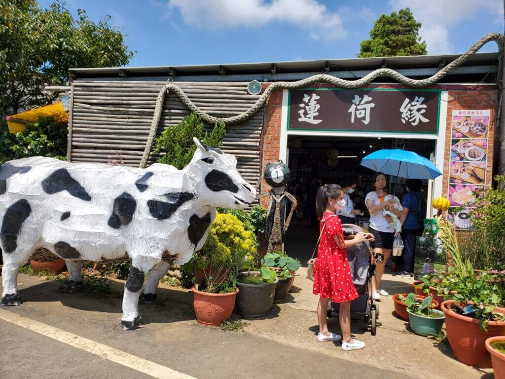 桃園景點 蓮荷園休閒農場 乘坐超級大王蓮 特色蓮子餐點 親子景點 汪汪旅遊